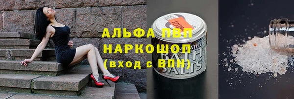МДПВ Абаза
