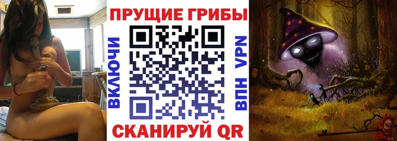 Псилоцибиновые грибы Psilocybine cubensis  мега зеркало  это телеграм  где найти   Дивногорск 